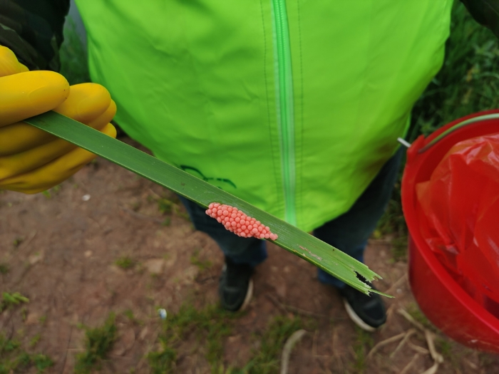 微信图片_20220816144659 资讯频道