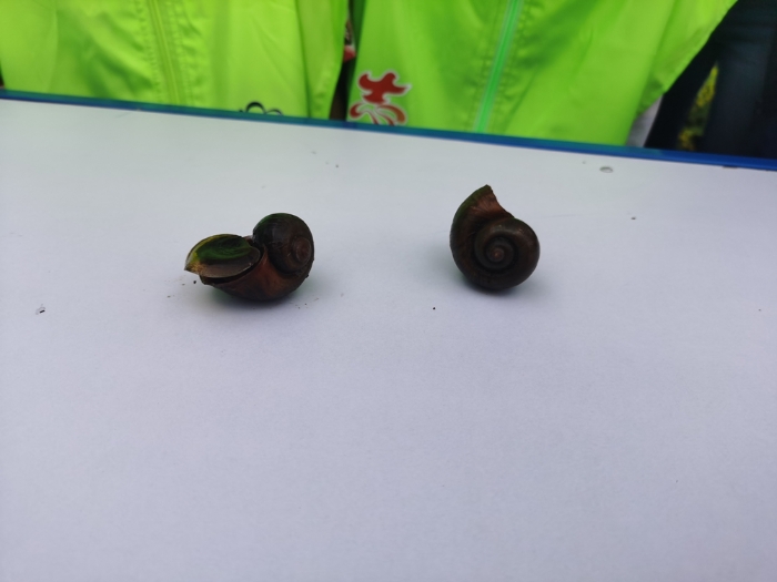 微信图片_20220816150031 资讯频道