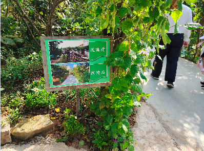 资讯频道