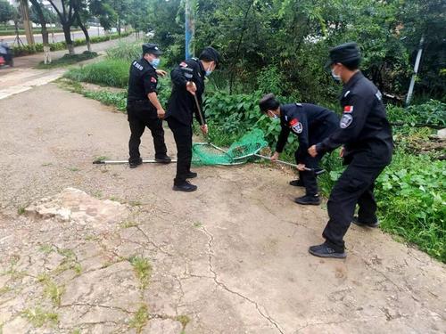 20220810151438260001 资讯频道