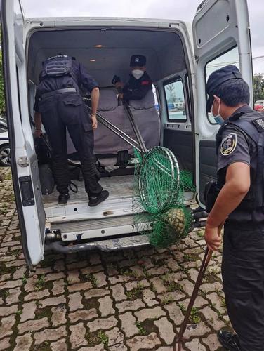 20220810151438108002 资讯频道