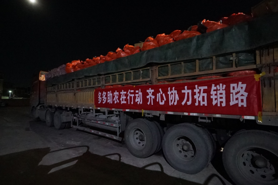 图片31 资讯频道