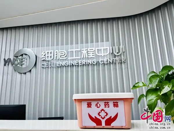 资讯频道