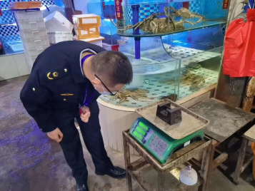 资讯频道