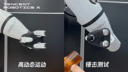 图片27 资讯频道