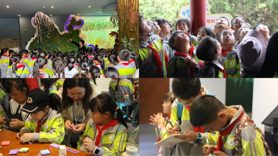 11云南农业大学团委开展“大手拉小手 一起跟党走”主题团日活动 资讯频道