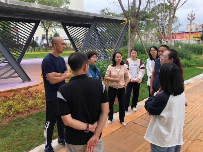 绿美城市建设——专家建言献策指导高新区道路补绿工作