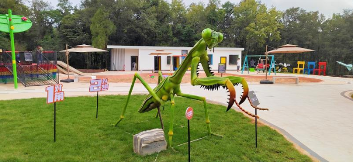 图片5 资讯频道