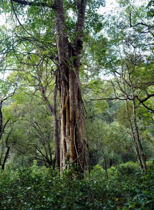 微信图片_20231116093125 资讯频道