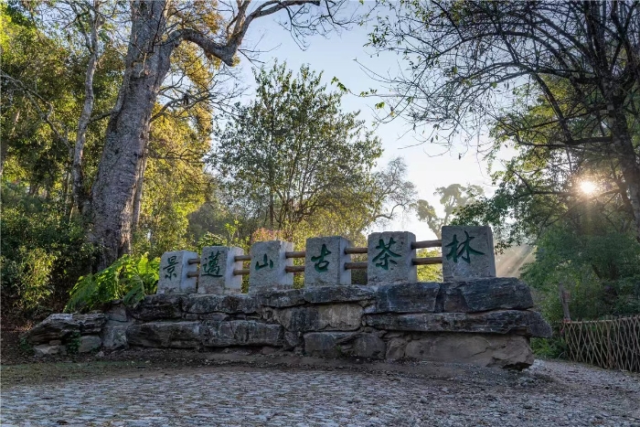 微信图片_20231116093117 资讯频道