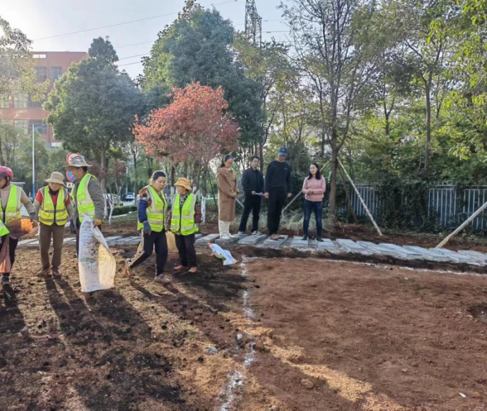昆明高新区冲刺四季度，奋力完成口袋公园目标任务