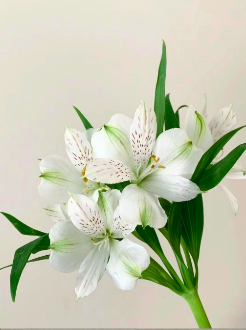 资讯频道