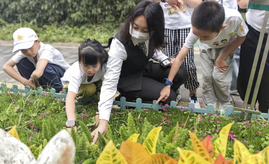 图片 11 资讯频道