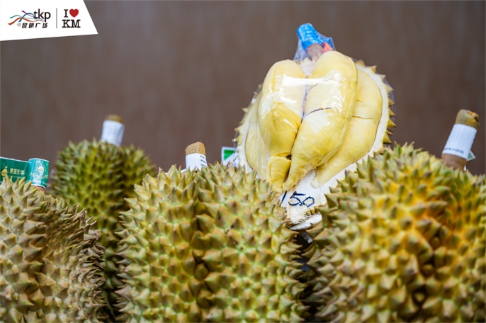 ZJY_5360 资讯频道