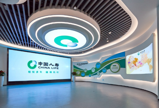 国寿寿险：以创新实践做好“五篇大文章”