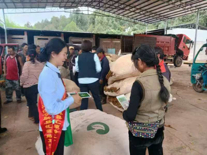 邮储银行石屏县汇源路支行送金融知识进村寨