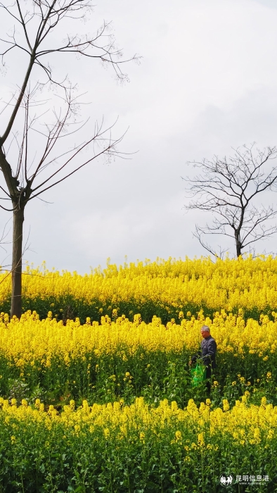 七旬老人自费为村民买保险：中国人寿“百元保单”托起川东乡村养老保障网