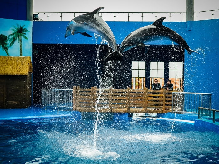 微信图片_20250425170613 微信图片_20250425170613