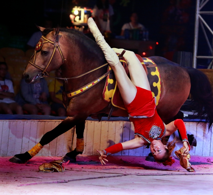 微信图片_20250425170602 微信图片_20250425170602