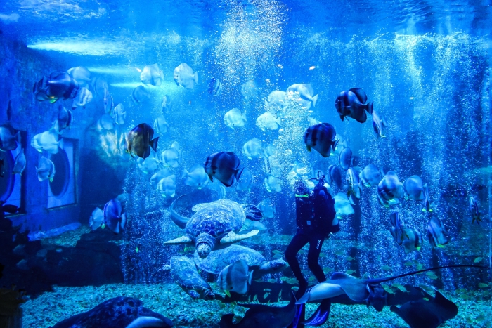 微信图片_20250425170622 微信图片_20250425170622