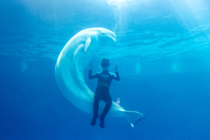 微信图片_20250425170631 微信图片_20250425170631