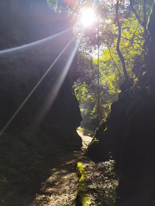 74fd465aa145e30a3f5d100be94b923c 资讯频道