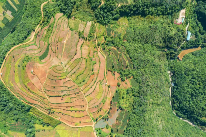 8bdea119d75da66db786abe607745051 资讯频道