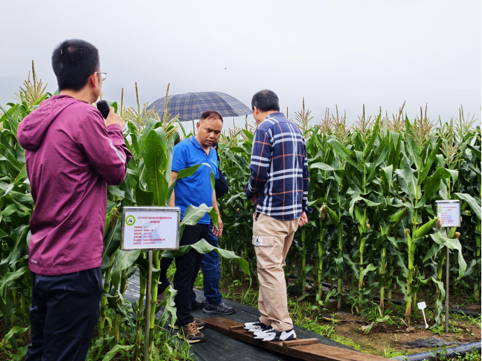 8f35b8008f68befeec629658a0d004f1 资讯频道