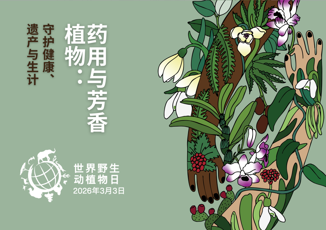 59711826612a2893088be38c62da90e5 59711826612a2893088be38c62da90e5