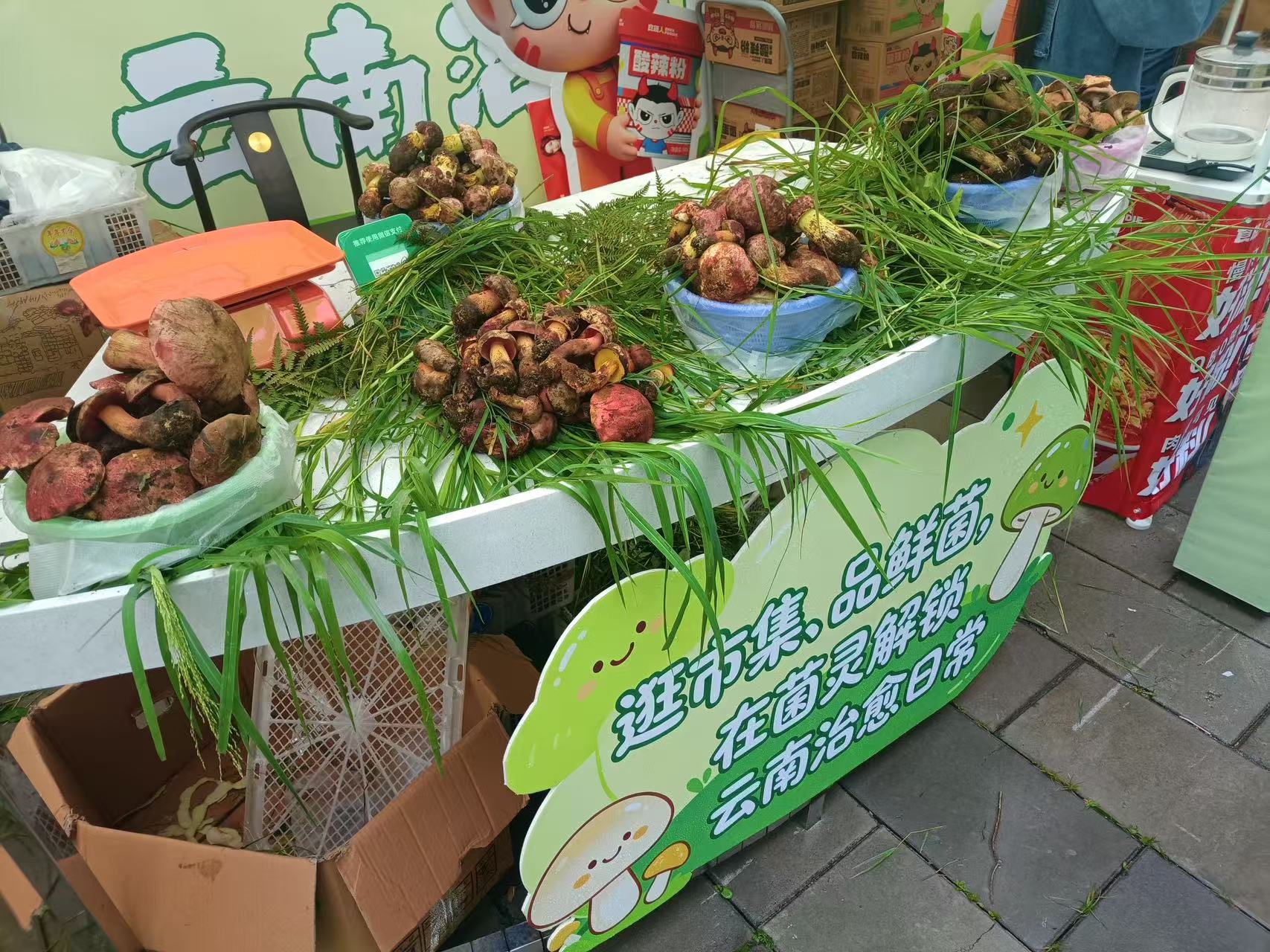 微信图片_20260723101347_997_35