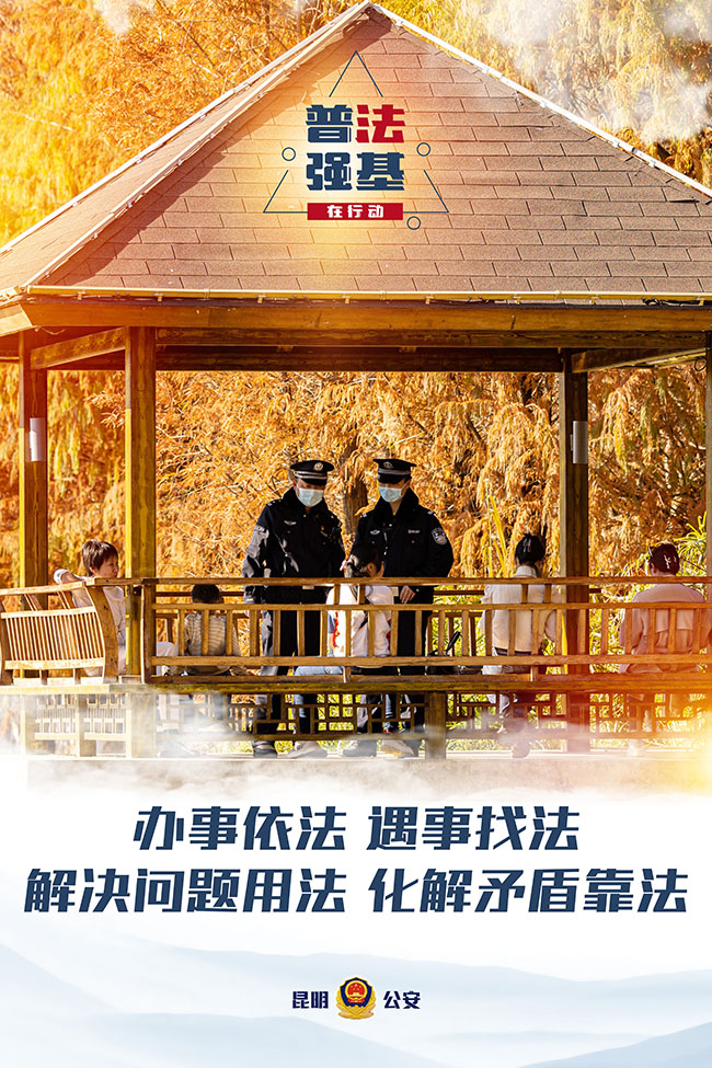 市公安局普法强基海报-02