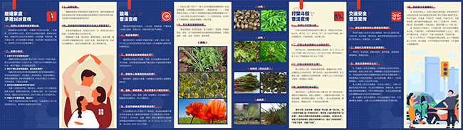 普法强基补短板专项行动入户宣传手册2