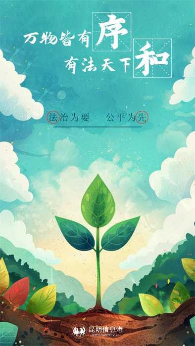 万物皆有序 有法天下和 拷贝