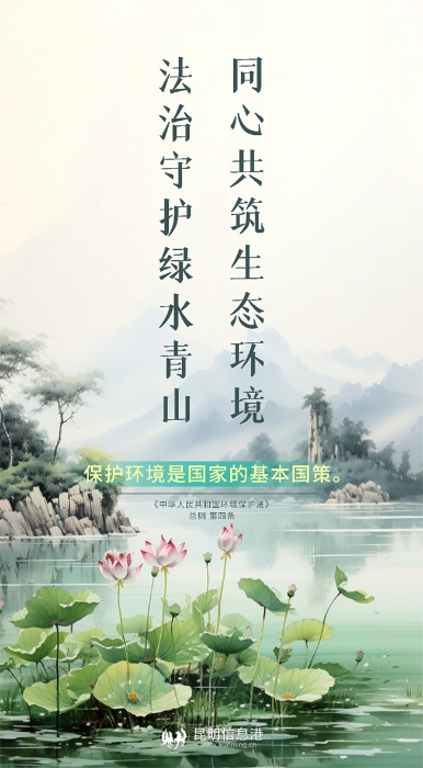 法治守护绿水青山 拷贝