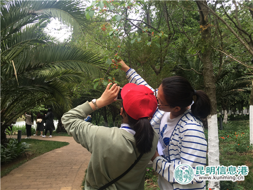 “发现云南之美网络摄影大赛”高校行首站走进云师大 (3)