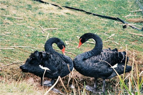 QQ图片20180427225033