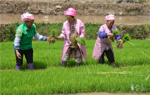 20180427175723CEDT6E