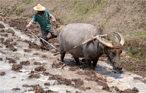 2018042717572590QUQ0