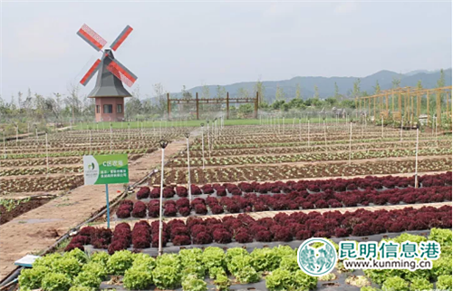 晨农农博园 晨农农博园