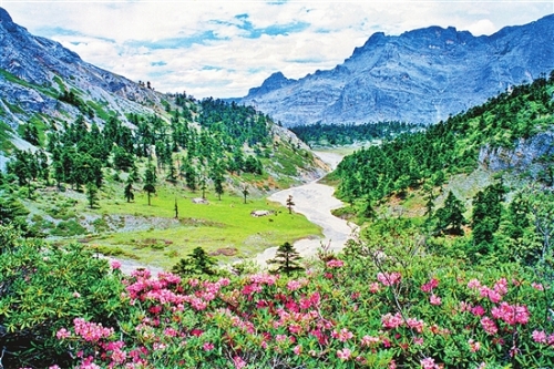 2018050412_res15_attpic_brief