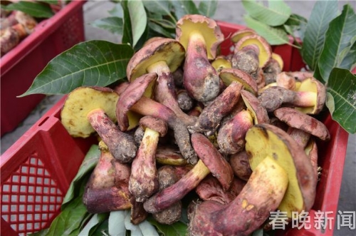 20180510162107UH2910