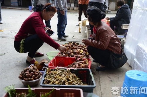 20180510204411P84LZL