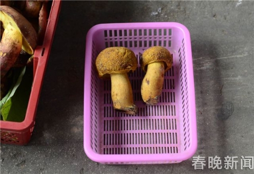 20180510204414IIPNQ3