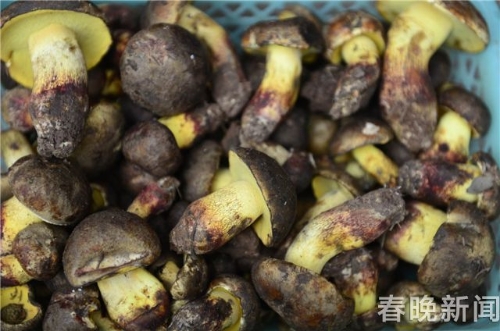 20180510204414NSEPNJ