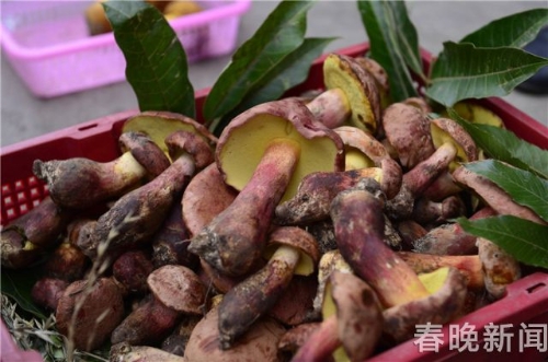 20180510204416JZBZ6L