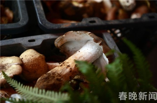 20180510204416TTUUTH