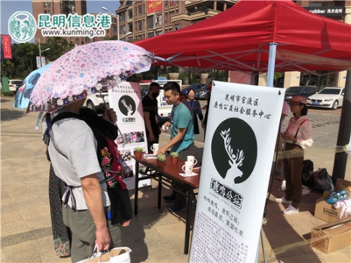 通过“旧衣换绿植”的方式,倡导绿色环保生活 通过“旧衣换绿植”的方式,倡导绿色环保生活