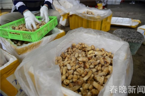 2018051020441832BBKT