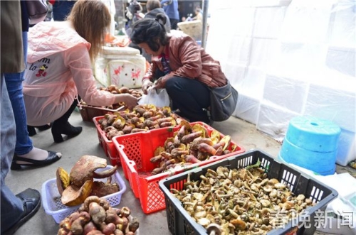 W020180510567730356068