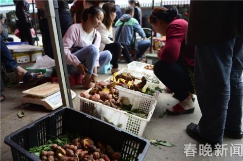 W020180510567934884602